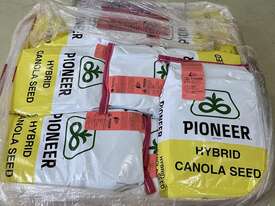 Pioneer Canola Seed x 14  - picture0' - Click to enlarge