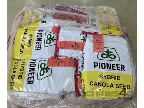 Pioneer Canola Seed x 14 