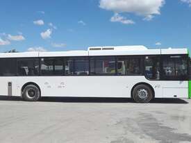 Bustech Citybus - picture0' - Click to enlarge