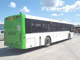 Bustech Citybus - picture1' - Click to enlarge