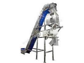 Single Head Weigh Filler - picture0' - Click to enlarge