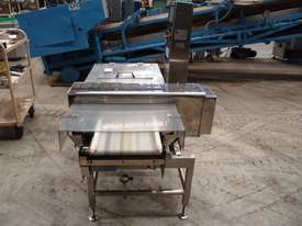Checkweigher & Metal Detector - picture1' - Click to enlarge