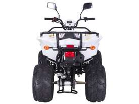 Hisun 150CC Off Road Sport Quad Bike With F-N-R Rear Wheel Drive - picture1' - Click to enlarge