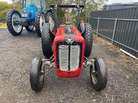 Massey Ferguson MF35 4 x 2 Tractor - picture2' - Click to enlarge