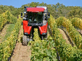 FMR ERO GRAPELINE HARVESTER - picture0' - Click to enlarge