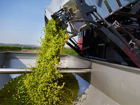 FMR ERO GRAPELINE HARVESTER - picture2' - Click to enlarge