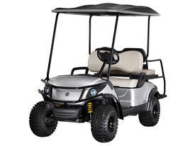 Petrol Fleet Golf Car - picture0' - Click to enlarge