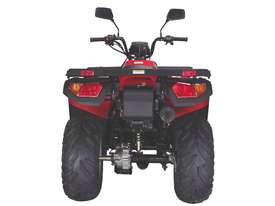 Hisun 250CC Off Road 250 Brumby Farm Quad Bike With 5 Speed And Carry Racks - picture1' - Click to enlarge