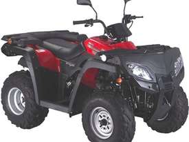Hisun 250CC Off Road 250 Brumby Farm Quad Bike With 5 Speed And Carry Racks - picture0' - Click to enlarge