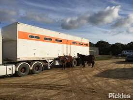 1984 FTE Tri Axle Horse Float - picture0' - Click to enlarge