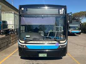 Mercedes Benz Bus - picture0' - Click to enlarge