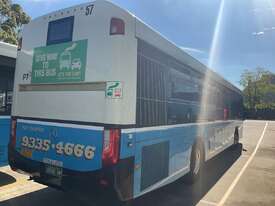 Mercedes Benz Bus - picture1' - Click to enlarge