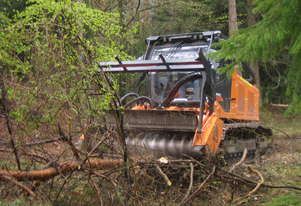 FAE Prime Tech PT 300 Forest Mover, Mulcher