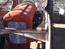 Massey Ferguson 35 Tractor and Front End Loader  - picture1' - Click to enlarge
