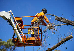 SNORKEL MHP15HD Trailer Mounted Boom Lift