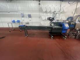 Horizontal Flow Wrapper - picture0' - Click to enlarge