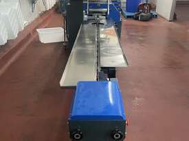 Horizontal Flow Wrapper - picture2' - Click to enlarge