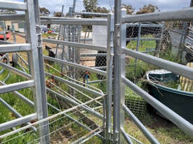 2x Cattle Yard Man Gates (New Un-used) - picture1' - Click to enlarge