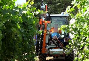 Farmliner Rinieri CRL Vision 1 Single Sided Over Row Pruner