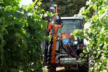 Farmliner Rinieri CRL Vision 1 Single Sided Over Row Pruner